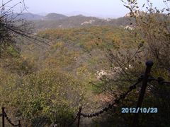 -鲁山国家森林公园