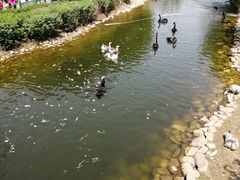 -长白岛森林公园