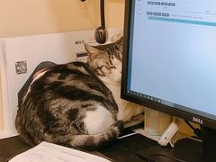 -萌兽医馆·犬猫专科·眼科中心·宠物医院(朝阳门分院)