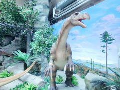 -国家自然博物馆