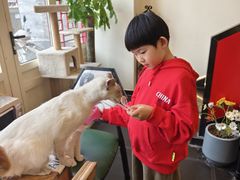 -猫小院猫主题餐厅(南锣旗舰店)