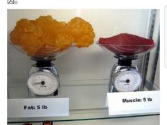 -汉堡王(北京通州领展店)