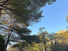 -史努比缤纷世界