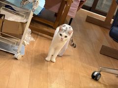 -嘉馨宠物医院·CT影像转诊·心脏科·犬猫全科诊疗中心(下沙大学城院区)