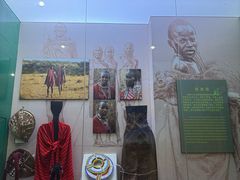 -国家自然博物馆