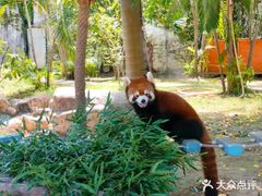 -灵玲国际马戏城