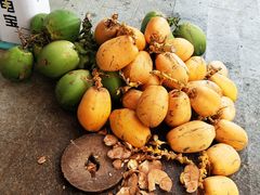 鲜椰子-于春正宗椰奶清补凉炒冰