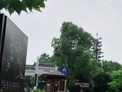 -东湖落雁景区