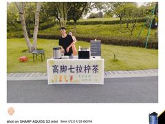 -王借岗森林公园