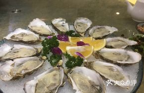 Australian Hafen Bay Oyster