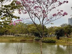 -四海公园(南山区)