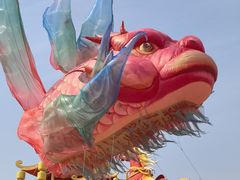 -武汉园博园(武汉自然博物馆)