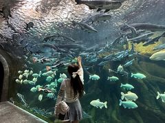 -波塞冬旅游度假区