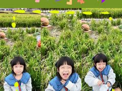 -中国天府农业博览园