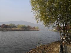-长广溪湿地公园