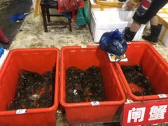 -济南海鲜大市场