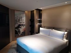 -新加坡瑞士史丹福酒店