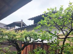-中村藤吉(本店)