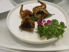 -稻香酒家·34年老字号·港式粤菜(侨光店)