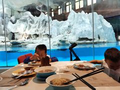 -帝企鹅自助餐厅•儿童岛•真企鹅(长隆企鹅酒店)