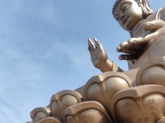 -龙口南山旅游景区