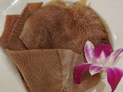 -京彩臻品火锅