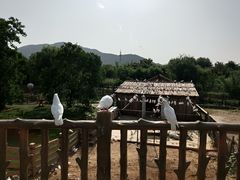 -无锡动物园·太湖欢乐园
