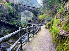 -大鄣山卧龙谷景区