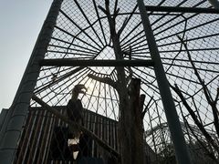-太原动物园