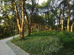 -上海市保健医疗中心