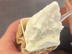 -野人先生Gelato(上海长宁龙之梦店)