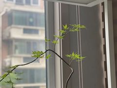 -康朴乐儿童学习桌椅(蓝色港湾店)