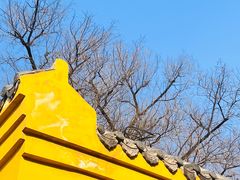 -宝通禅寺