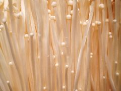 -大红袍火锅料理(尖沙咀店)