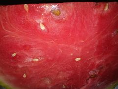 -百果园(深圳市悠山美地店)