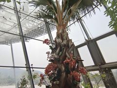 -北京植物园-展览温室