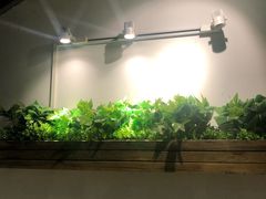 -仄园围炉坊·牛肉火锅·汕头卤水火锅(蛇口店)