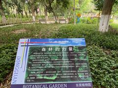 -东莞植物园