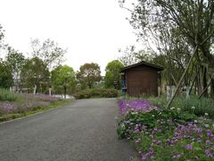 -白鹭湾湿地公园