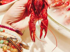 精品冰镇龙虾-红盔甲·小龙虾(昌里路店)