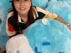 -盒马X会员店(上海森兰商都店)