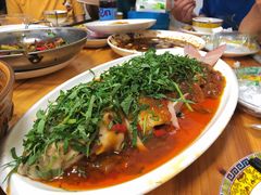 -老字号怡玺·藿香雅鱼(20年雅安店)