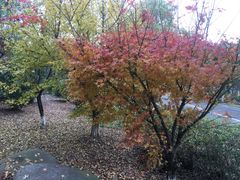 -上海滴水湖皇冠假日酒店