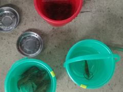 -小象钓虾·营地烧烤(洛溪店)