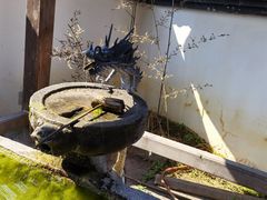 -东方艺术博物馆