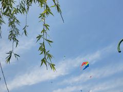 -上海共青森林公园