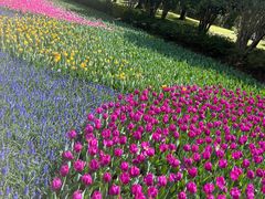 -上海鲜花港