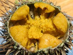 -桂马·日本料理·海胆·海鲜饭·酒场(民主广场店)