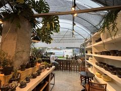 -自由生长植物工作室(深港花卉中心店)