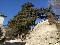 -阳台山自然风景区